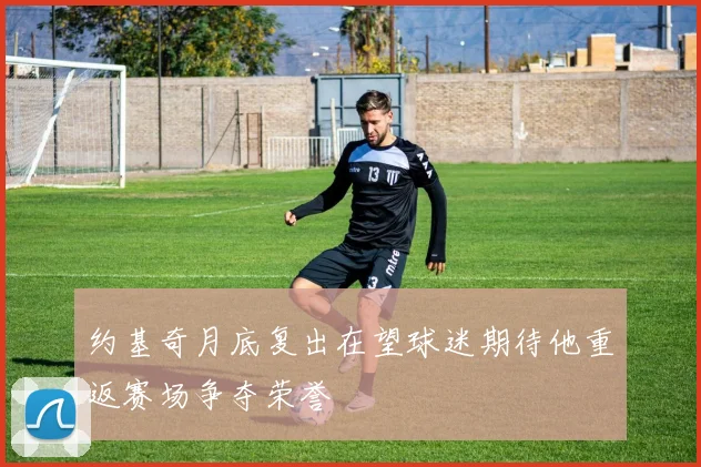 约基奇月底复出在望球迷期待他重返赛场争夺荣誉